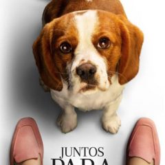 Juntos Para Sempre